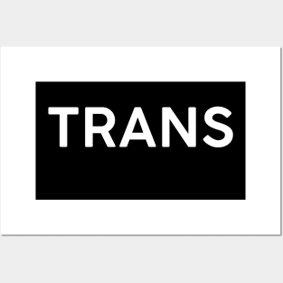 Trans Posters and Art